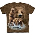 thumbnail image 1 of FIND 10 BROWN BEARS Brown Youth Unisex T-Shirt, 1 of 1