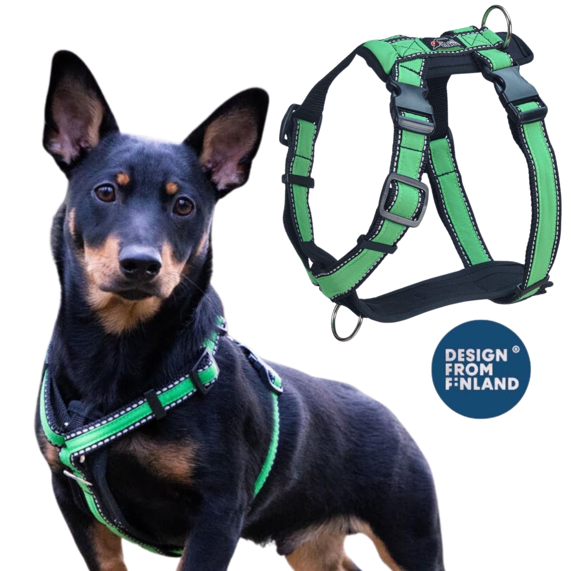 Thumbnail for Exercise Dog Harness With Ergonomic Design For Dogs