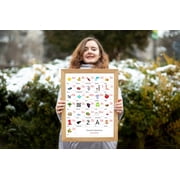FINNISH Alphabet POSTER Print With Words And English Translations 16 x 20 inches