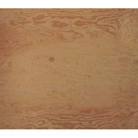FIR Marine Plywood 1 X 24 X 47$$Tools & Hardware Other