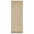 thumbnail image 1 of FISHER & PAYKEL RS3084FLJ1 upright freezers, 1 of 5
