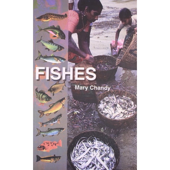 FISHES (English Version)