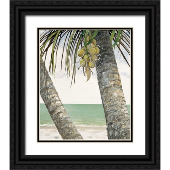FISK, Arnie 15x17 Black Ornate Wood Framed with Double Matting Museum Art Print Titled - Seaside Coconuts