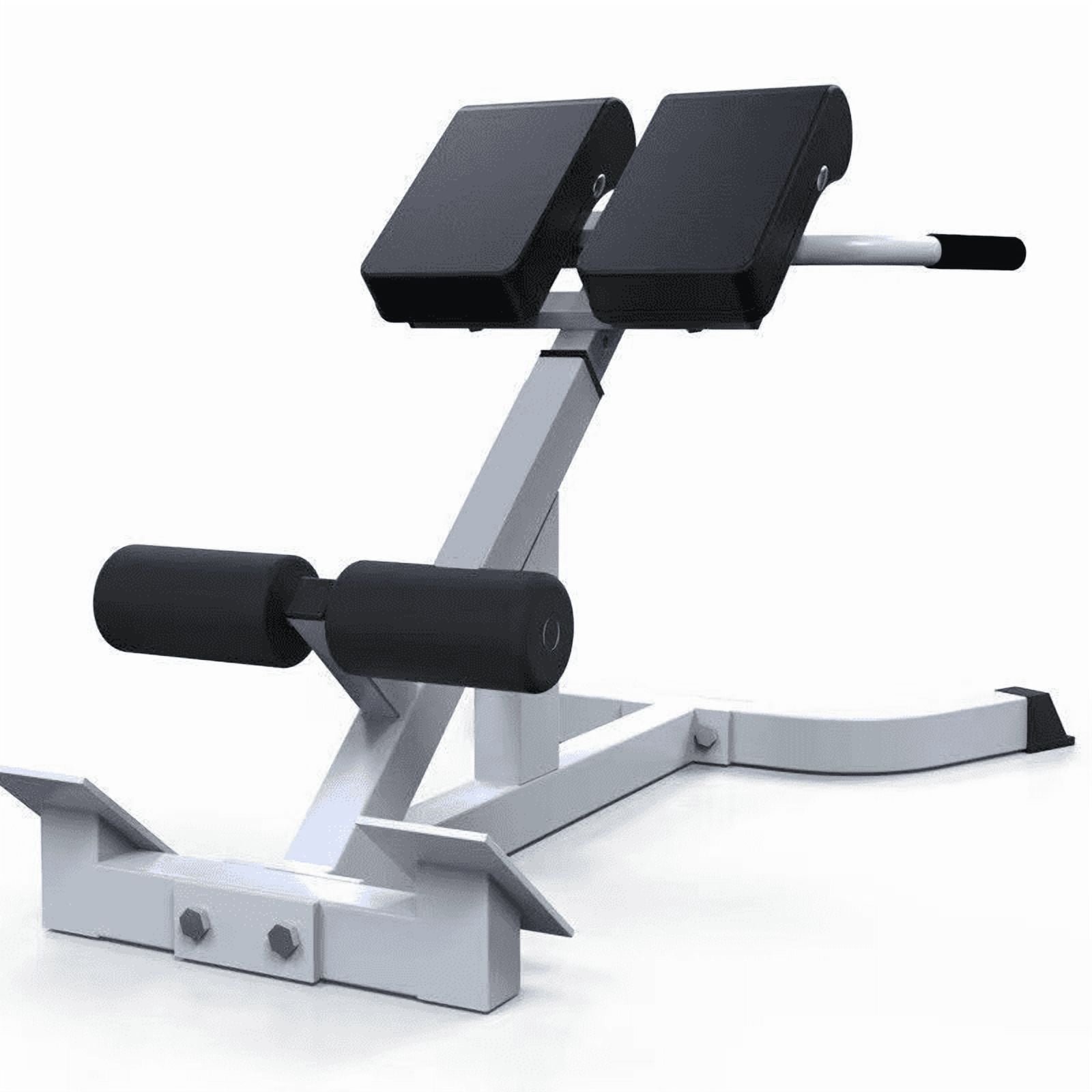 FITINJOY Roman Chair Back Extension Machine for Home Gym, Adjustable Hyperextension Bench for Glutes, Core & Lower Back Workouts, Multi-Function Heavy-Duty Fitness Equipment