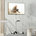 FITUEYES Mobile TV Cart with Wheels for 23 to 60 inch LCD LED Flat