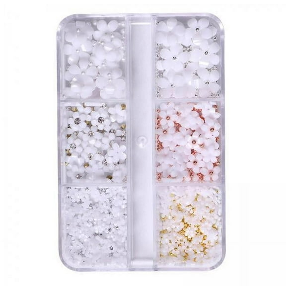 FITYLE 2 4pack Mixed 3D Flower Nail Charms 6 Grids Nail Decoration Accessories for Nail 4 Pcs