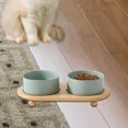 thumbnail image 1 of FITYLE Ceramic Stoneware Pet Bowl .Cat Food Bowls Feeder Set .Smooth Elevated Cat Bowls. Ceramic Cat Dish Dog Bowls for Puppy Water light green, 1 of 10