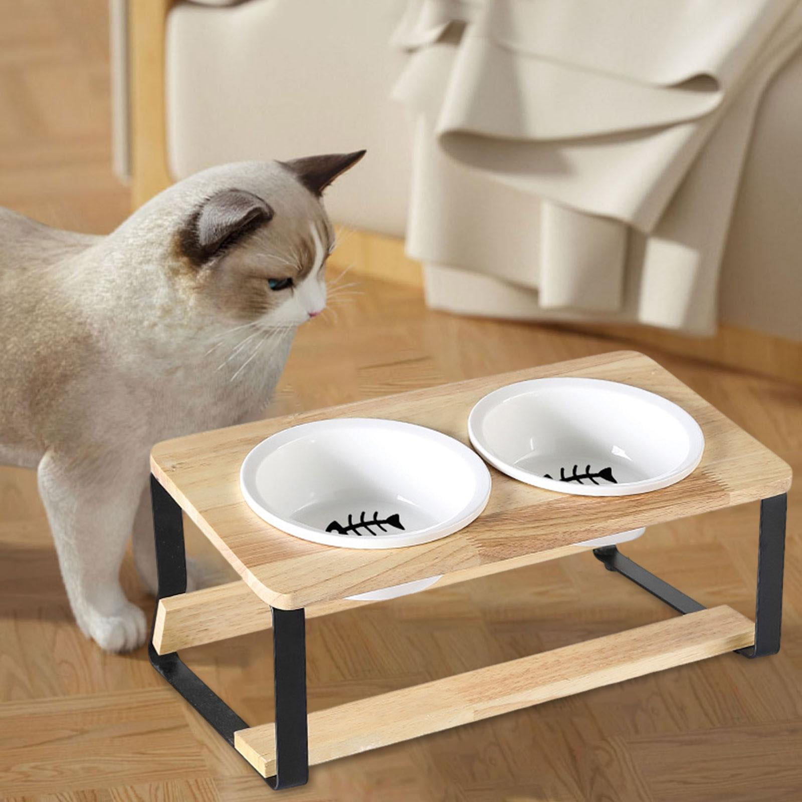 Cat feeding stand 2025