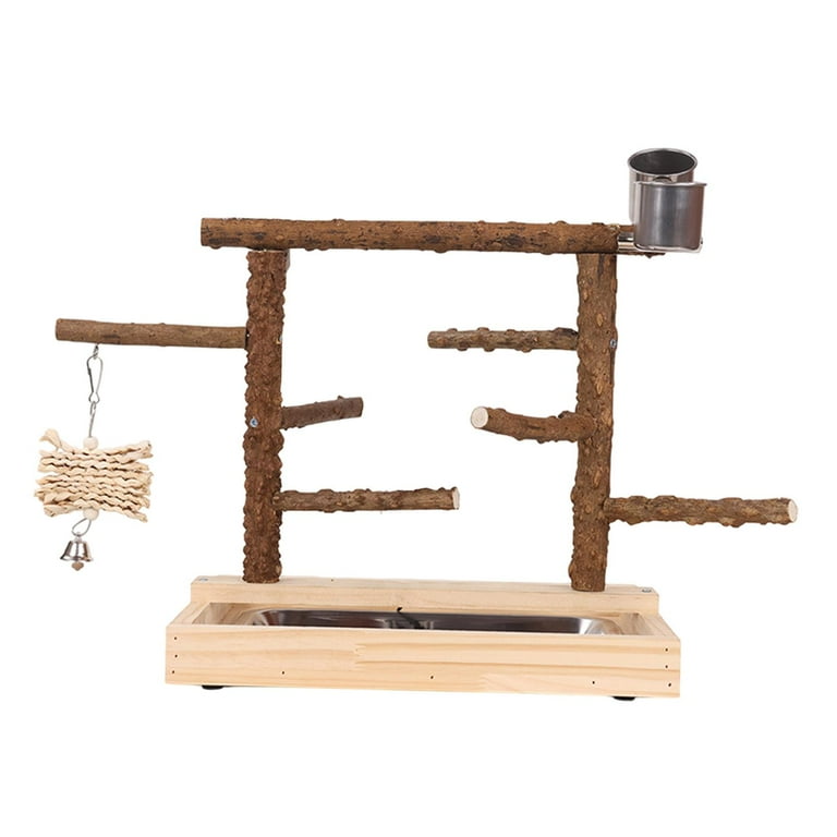 Parakeet play gym hotsell