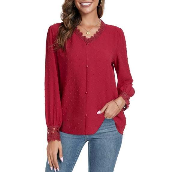 FIUFY Womens Long Sleeve Lace Shirt Tops Trim V-Neck Swiss Polka Dots Tunic Blouses