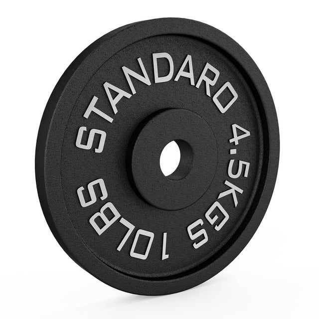 FIXTECH Classic Cast Iron Weight Plates for Strength Training, 2Inch