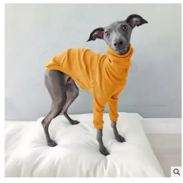 Italian Greyhound Zip Up Hoodie Italian Greyhound Zip Up Hoodie