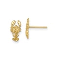 thumbnail image 1 of FJC Finejewelers 10 kt Yellow Gold Button 2-D Lobster Post Earrings 10 mm x 5 mm, 1 of 6