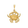 thumbnail image 1 of FJC Finejewelers 10 kt Yellow Gold Cancer Zodiac Charm 35 x 25 mm, 1 of 6