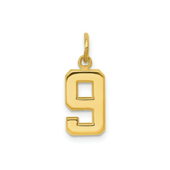 FJC Finejewelers 10 kt Yellow Gold Casted Small Polished Number 9 Charm 20 x 7 mm