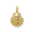 thumbnail image 1 of FJC Finejewelers 10 kt Yellow Gold Lion's Paw Shell Charm 13 x 13 mm, 1 of 6