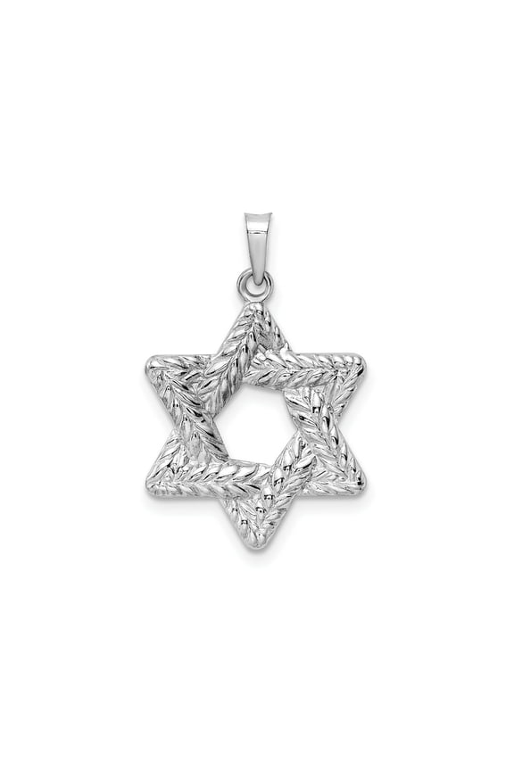 FJC Finejewelers 14 kt White Gold Polished and Textured Solid Star of David Charm 26 mm x 20 mm
