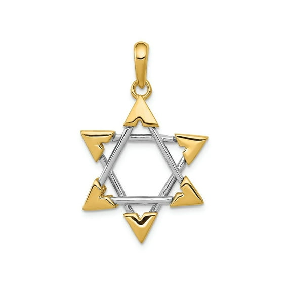 FJC Finejewelers 14k Two-tone Gold Star Of David Charm