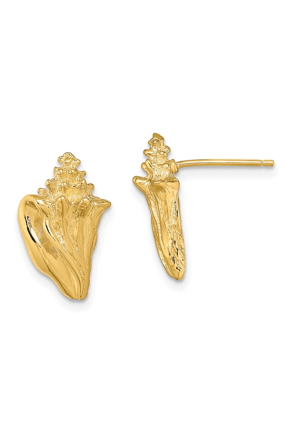14K 2-D Conch Shell Post Earrings TE815