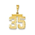 thumbnail image 1 of FJC Finejewelers 14k Yellow Gold Medium Bright Cut Number 35 Charm, 1 of 4