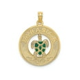 thumbnail image 1 of FJC Finejewelers 14k Yellow Gold Sarasota On Round Frame with Enamel Turtle Center Charm, 1 of 2