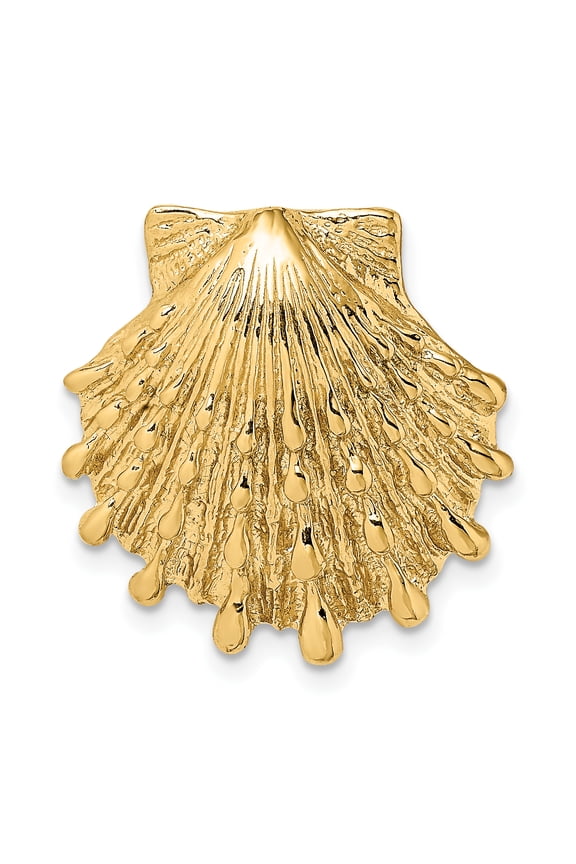 14k Yellow Gold Solid Polished Textured Finish Small Lion's Paw Shell Slide Pendant Fits up to 8mm Fancy Omega