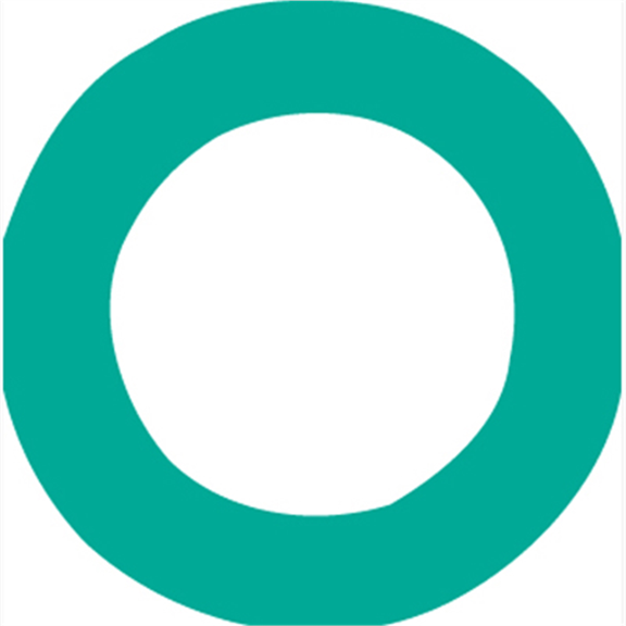 FJC O'RING (10 PACK)