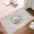thumbnail image 1 of FJPT Non Slip Flannel Polyester Floor Mat With Cute Dog Design For Bathroom Kitchen Bedroom Decor 16x24 inch, 1 of 5