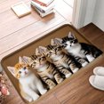thumbnail image 1 of FJPT Non Slip Flannel Polyester Floor Mat With Cute Kittens Design For Bathroom Kitchen Bedroom Decor 16x24 inch, 1 of 5