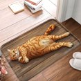 thumbnail image 1 of FJPT Non Slip Flannel Polyester Floor Mat With Cute Orange Cat Design For Bathroom Kitchen Bedroom Decor 31.5x19.7 inch, 1 of 5