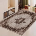 thumbnail image 1 of FJPT Vintage Floral Medallion Border Design Soft Small Area Rugs Non Slip Indoor Floor Carpet for Living Room Bedroom Decor, 1 of 5
