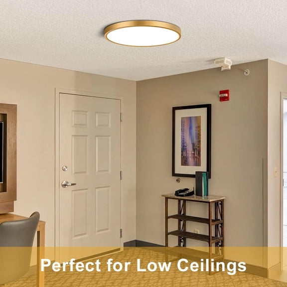 FJSHN-9 Inch Gold LED Flush Mount Ceiling Light, 5000K Daylight White Low Profile LED Ceiling Light, 18W 1800LM, Round Slim Flat Ceiling Lights Fixture for Closets Bedroom Hallway Stairwells Porch
