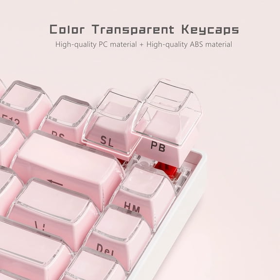 FJSHN-Jelly Keycaps-Lusterfly Cute Keycaps Pink 60 65 75 100 Percent, Side Printed Elegant Key caps Custom113 Keys, OEM Profile for 61/68/84/87/98/100 Cherry Gateron MX Mechanical, Pink