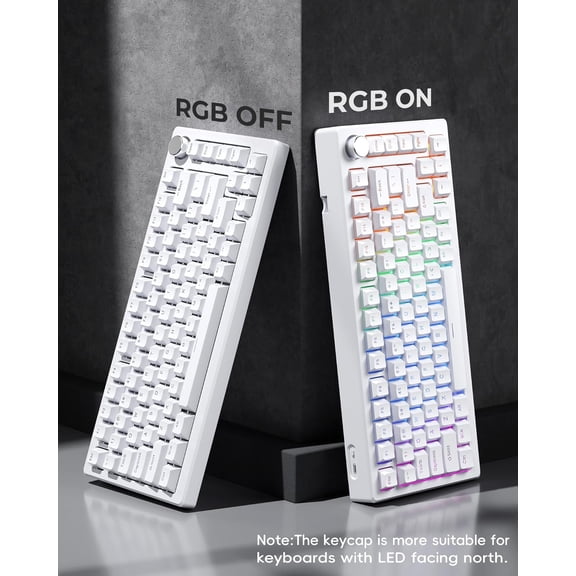 FJSHN-x XVX Doubleshot PBT Keycaps for Mechanical Keyboards - Shine Through Keycaps, Full 131 Key Set, OEM Profile, Backlit - White