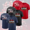 thumbnail image 1 of FL Panthers Back To Back 2025 Stan.ley Cup Champions Fan Gifts,Navy Color,Size 3XL, 1 of 5