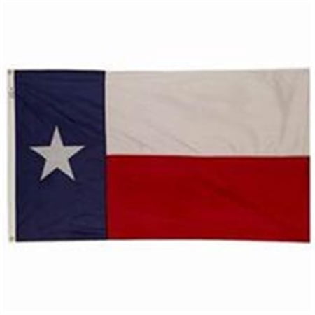 Valley Forge Texas Flag 36 in. H x 60 in. W