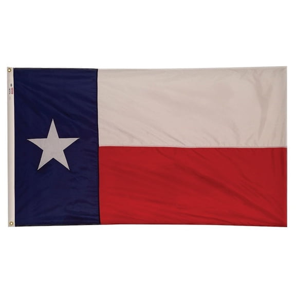 Valley Forge Texas Flag 36 in. H x 60 in. W
