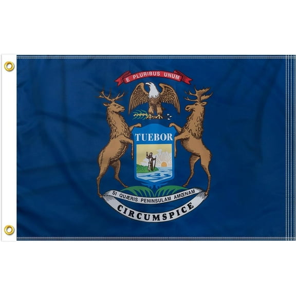 FLAGWIN Michigan Flag 12x18 Inches - 3 Ply Double Sided Polyester Michigan State Flag with Brass Grommets - Vivid Color and Fade Proof State of Michigan Flag 12x18 Outdoor
