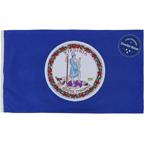 FLAGWIN Virginia Flag 3x5 FT - 3 Ply Double Sided Polyester Virginia State Flag with Brass Grommets - Vivid Color and Fade Proof State of Virginia Flag 3x5 Outdoor