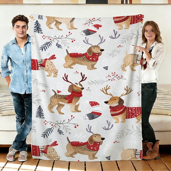 FLASHLUMI 30"×40" Soft Sherpa Blanket, Cozy Plush Warm Throw Blanket for Couch Bed Sofa Home Office Decor