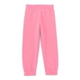 thumbnail image 1 of Garanimals Toddler Girl Fleece Joggers, Sizes 2T-5T, 1 of 6
