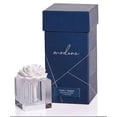thumbnail image 1 of FLEUR D ORANGER Small Modena Zodax Porcelain Diffuser, 1 of 1