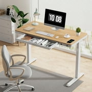 FLEXISPOT 48 W Home Office Height Adjustable Standing Desk White and Maple with USB Charge Ports and Embedded Drawer