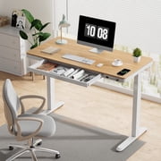 FLEXISPOT Height Adjustable Standing Desk - rated 4.7 stars from 96 reviews