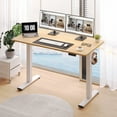 thumbnail image 1 of FLEXISPOT 48" x 30" Home Office Electric Height Adjustable Standing Desk Memory Programmable Presets Computer Desk White and Maple, 1 of 13
