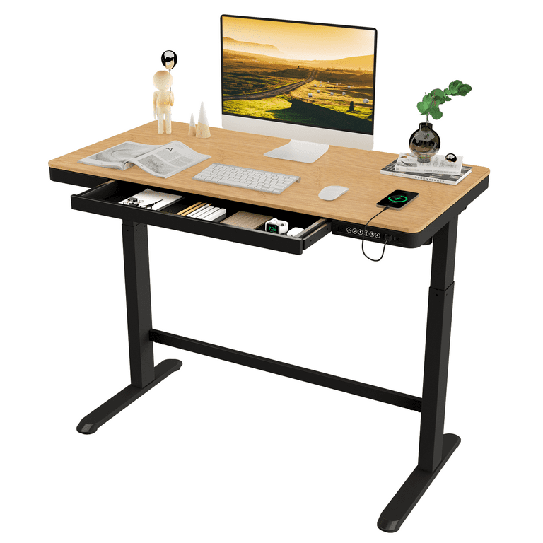 FLEXISPOT Essential Standing Desk 48 x 24 Inches Whole Piece Desk Board  Electric Height Adjustable Desk Computer Laptop Sit Stand Desk (Black Frame  +