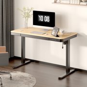 FLEXISPOT 48x24 Black Home Office Height Adjustable Standing Desk Bamboo Texture Top with USB Charge Ports