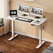 FitStand Electric Height Adjustable Standing Desk, 48x24 One-Piece Desktop Sit Stand up Desk with 176 lbs Load, 4 Memory Heights & 2 Hooks for Home Office, White