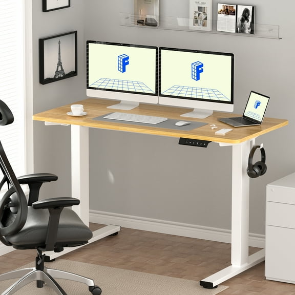 FLEXISPOT 55" x 28" Home Office Electric Height Adjustable Standing Desk Memory Programmable Presets Computer Desk White and Maple