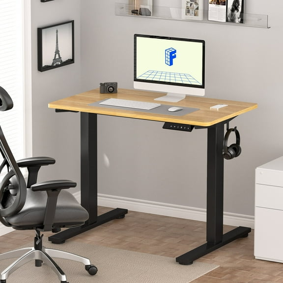 FLEXISPOT 48"x24" Electric Height Adjustable Standing Desk with Whole-Piece Desktop,Ergonomic Sit Stand Computer Desk for Home Office Workstation,Maple